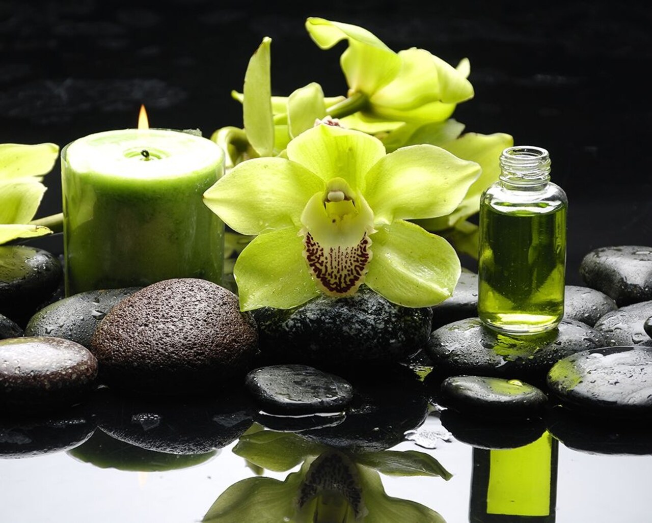 Aromath��rapy Poster Print by Braun Studio Braun Studio # MC1311